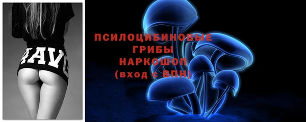 spice Вязники