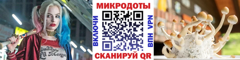Псилоцибиновые грибы GOLDEN TEACHER  купить  цена  Волгореченск 